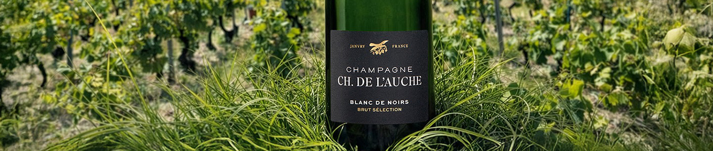Brut Sélection