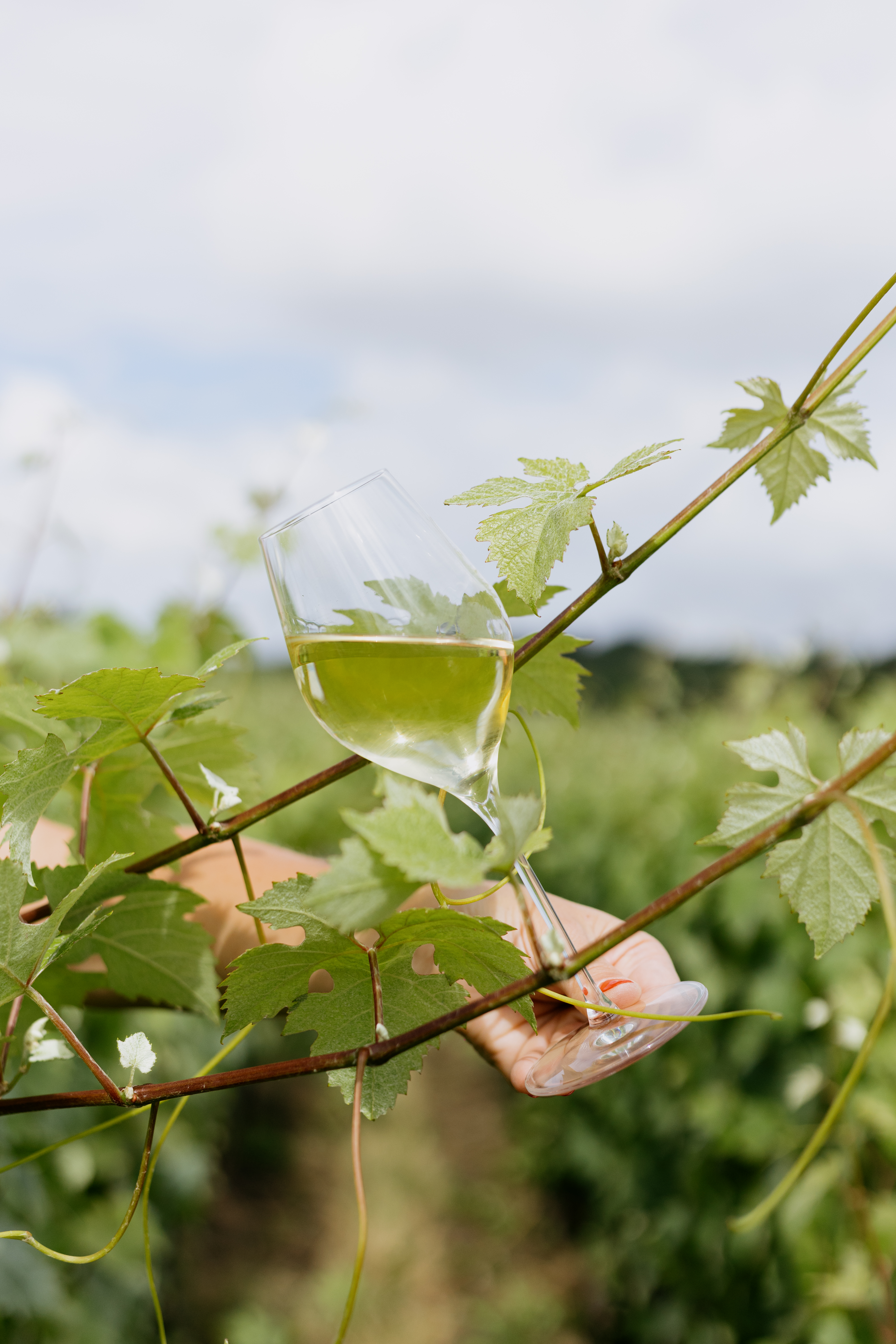 Labellisation bio